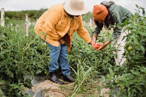 Comment former les agriculteurs aux techniques de l'agroécologie pour réduire leur dépendance aux pesticides chimiques ?